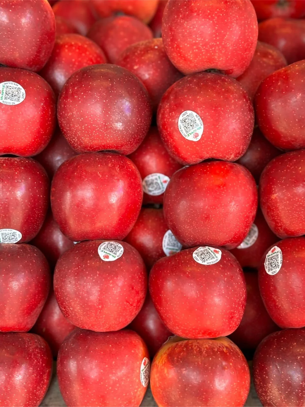 Queen Apple