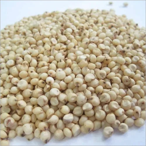 Jowar barsi