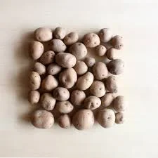 Baby Potato