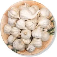 Garlic Jawari