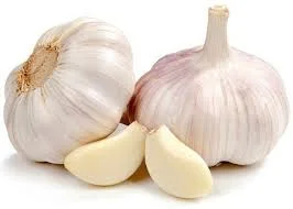 Garlic Big