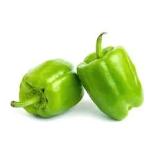 Capsicum