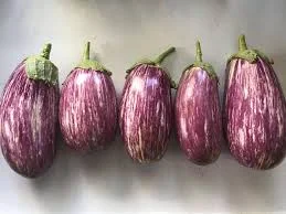 Brinjal